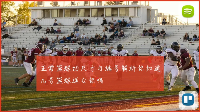 正常篮球的尺寸与编号解析你知道几号篮球适合你吗