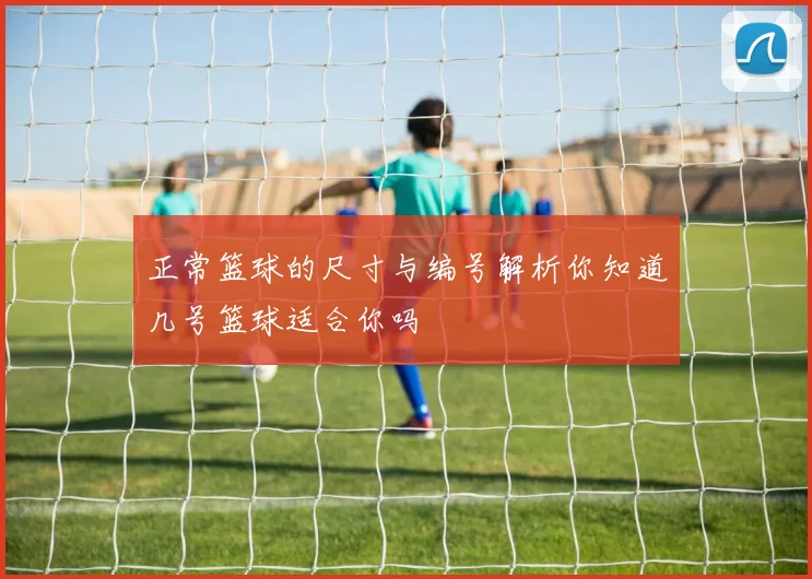 正常篮球的尺寸与编号解析你知道几号篮球适合你吗