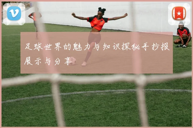 足球世界的魅力与知识探秘手抄报展示与分享